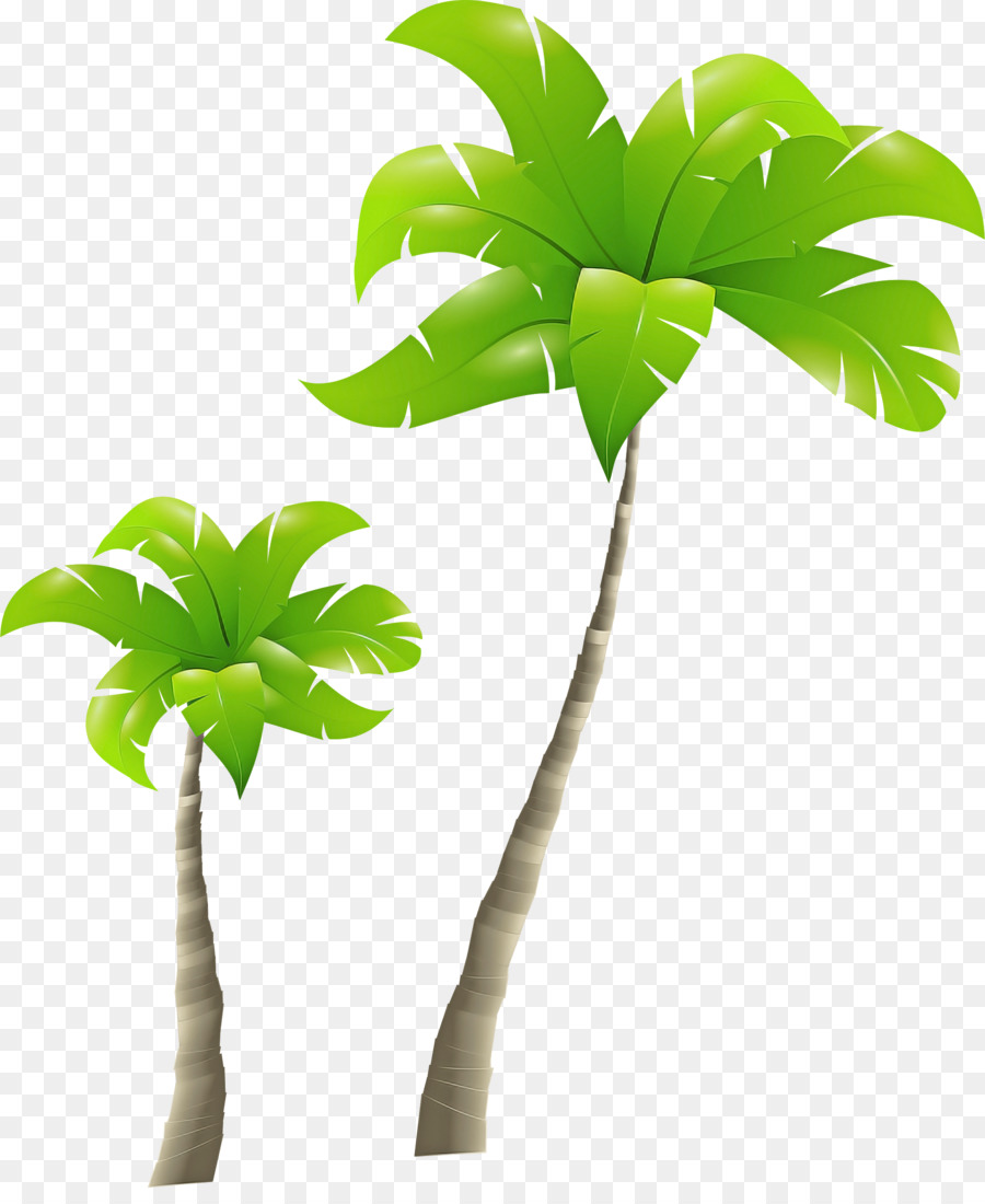 Planta，Hoja PNG