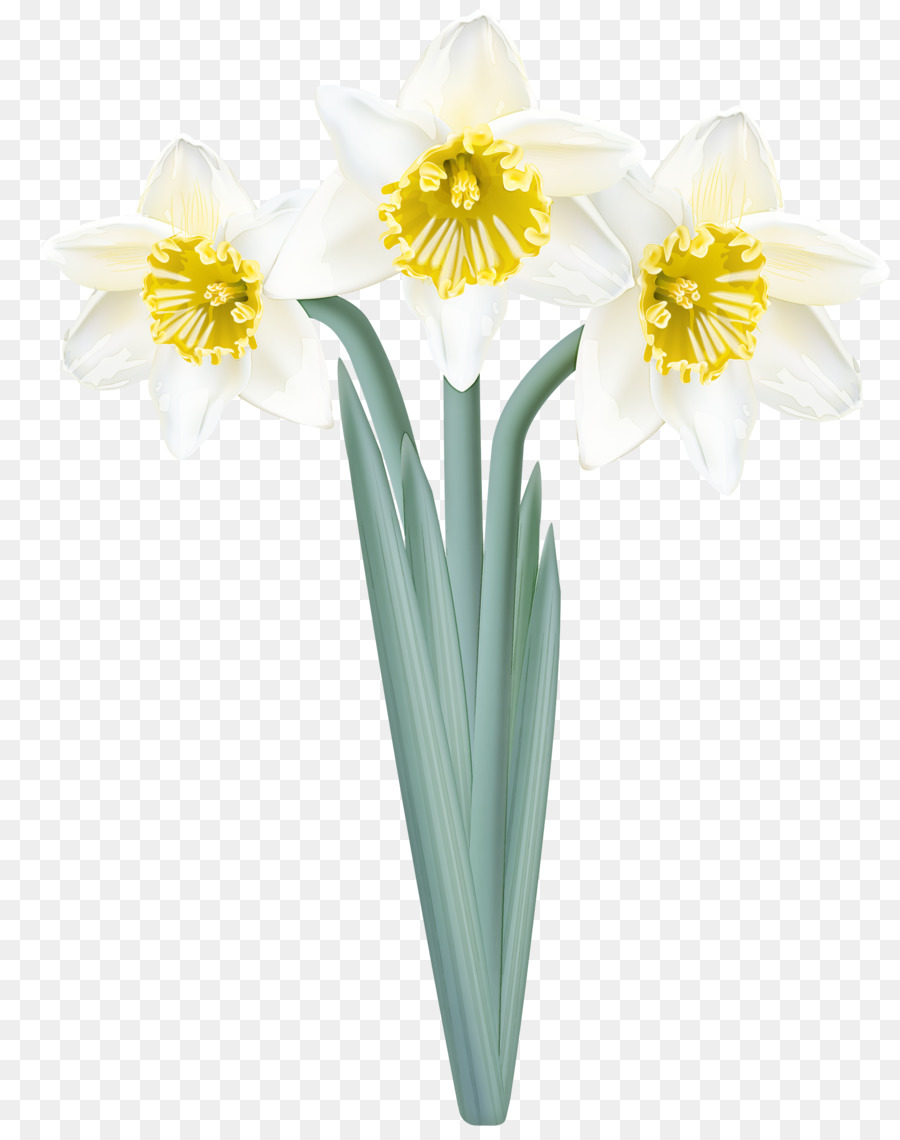 Flor，Amarillo PNG