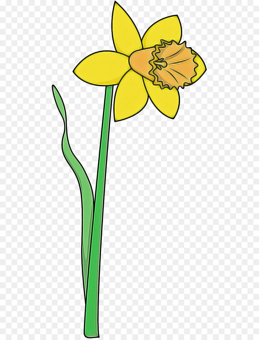 Amarillo，Flor PNG