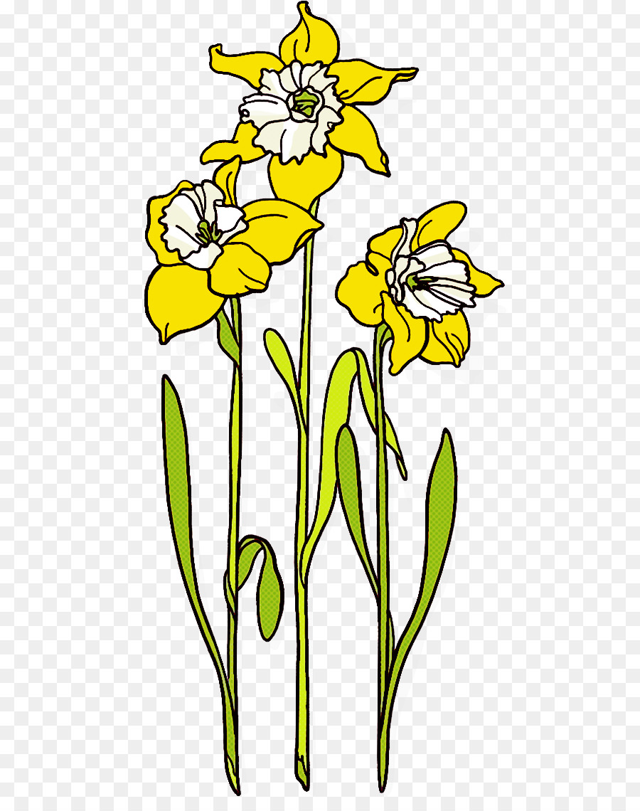 Flor，Amarillo PNG