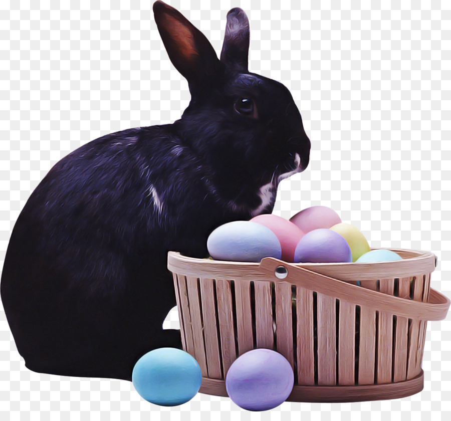 Conejito De Pascua，Conejo PNG