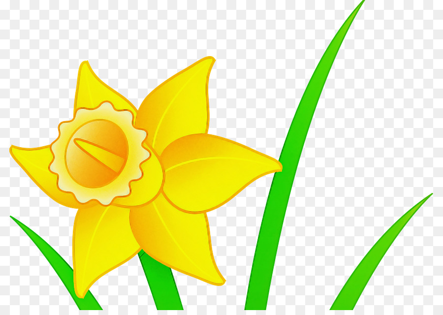 Amarillo，Flor PNG