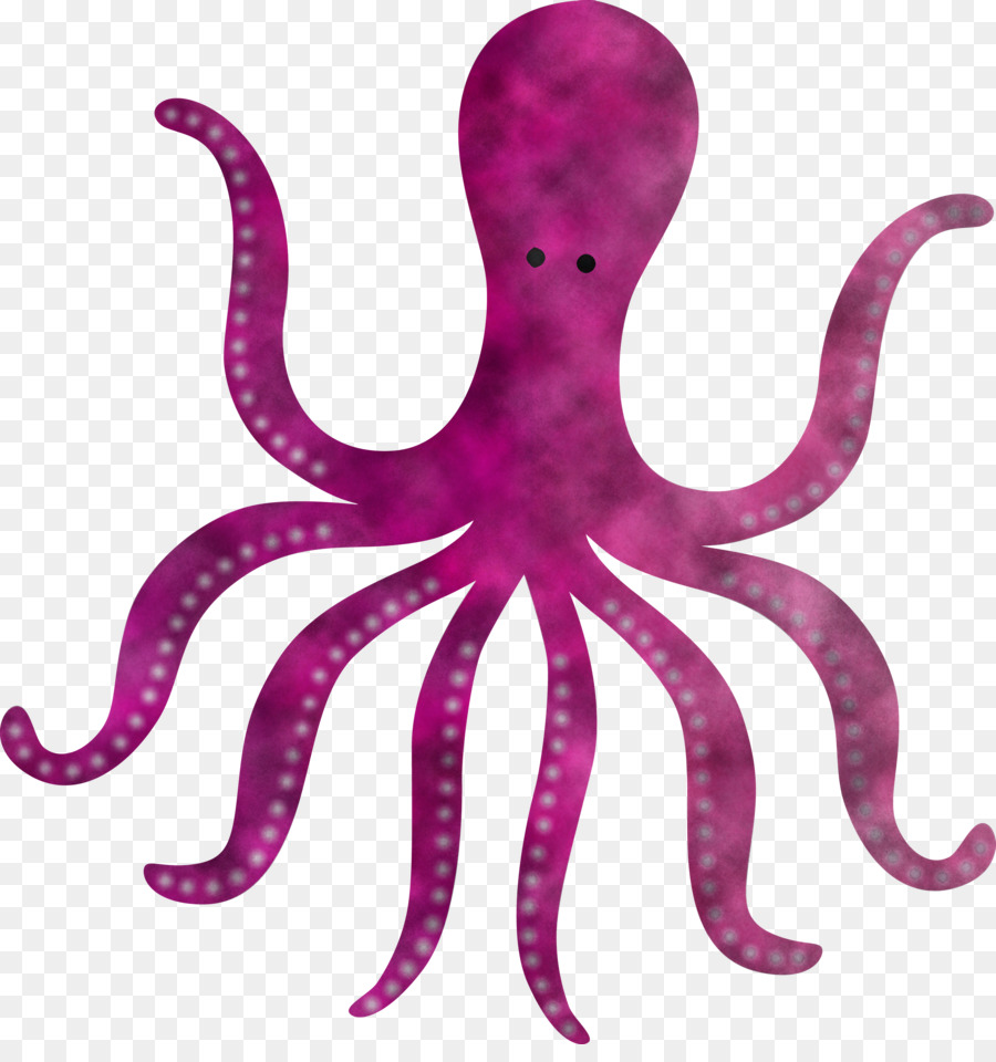 Pulpo，Mar PNG