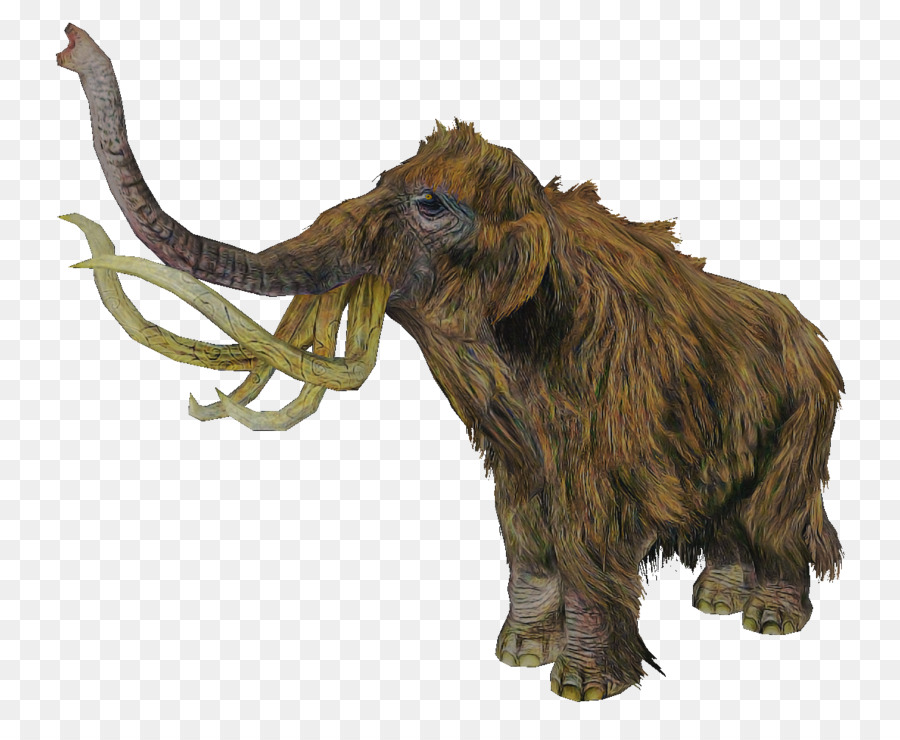 Animal Figura，Elefante PNG