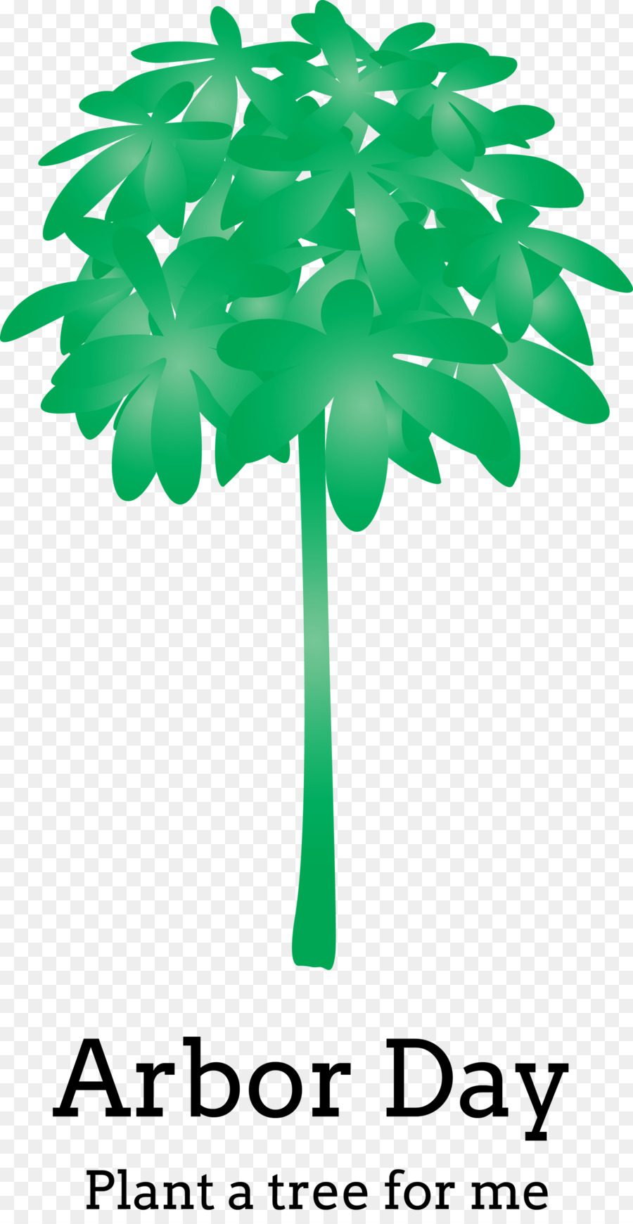 Árbol，Planta PNG