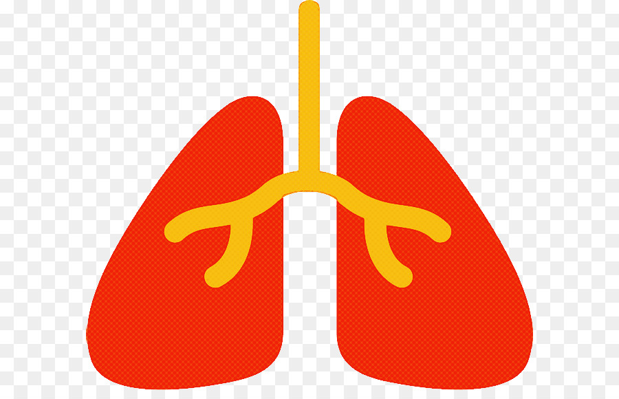 Ilustración De Los Pulmones，Pulmones PNG