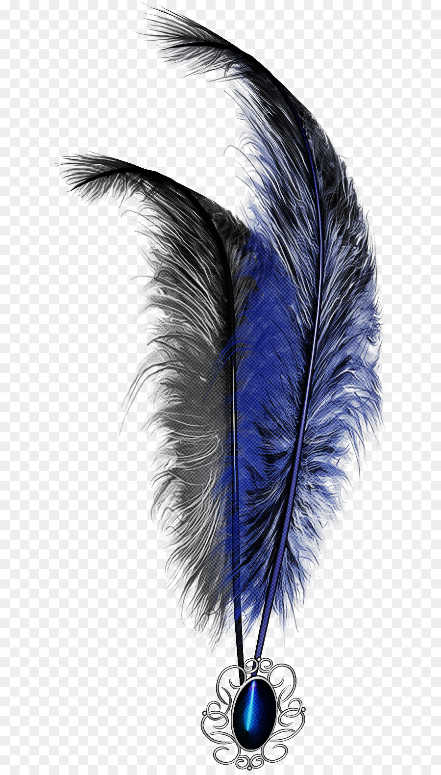 Plumas，Decoración PNG