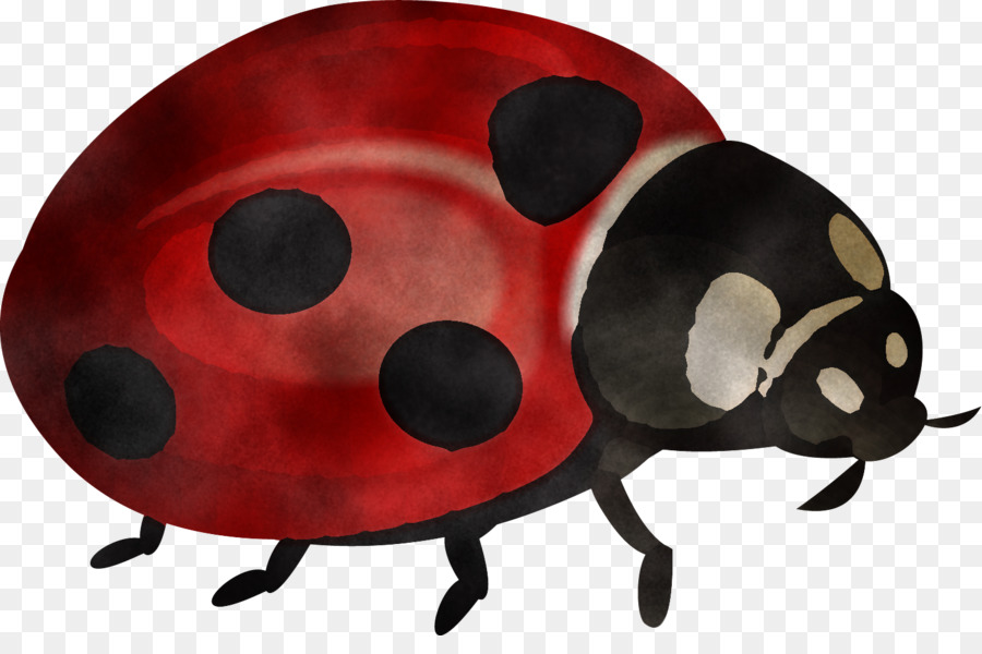 Ladybug，Los Insectos PNG