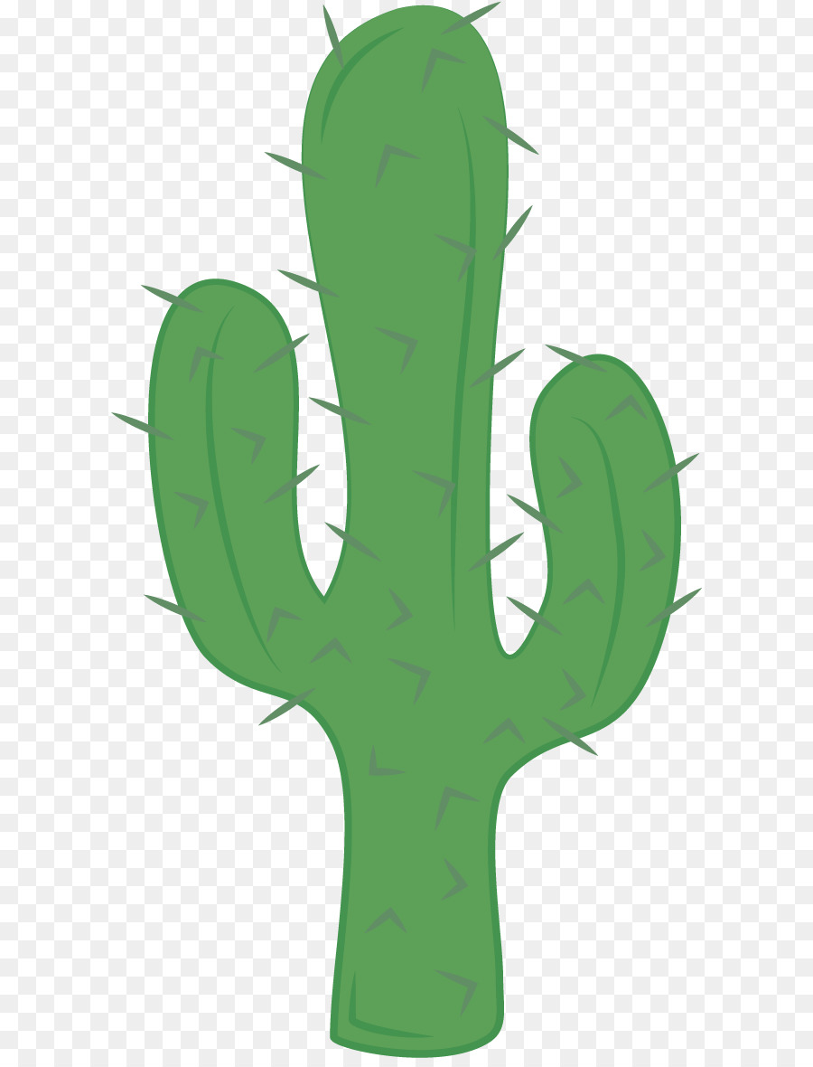 Cactus，Verde PNG