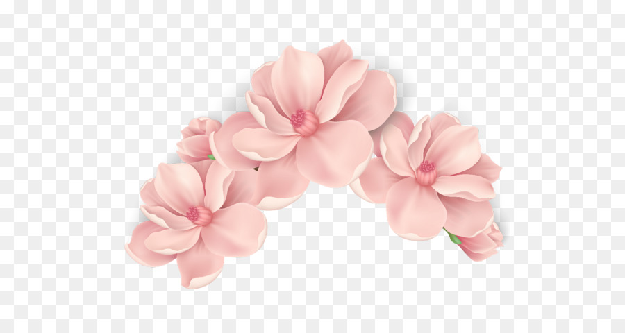 Rosa，Pétalo PNG