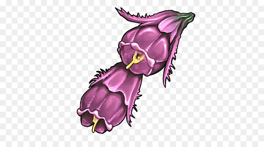 Rosa，Violeta PNG