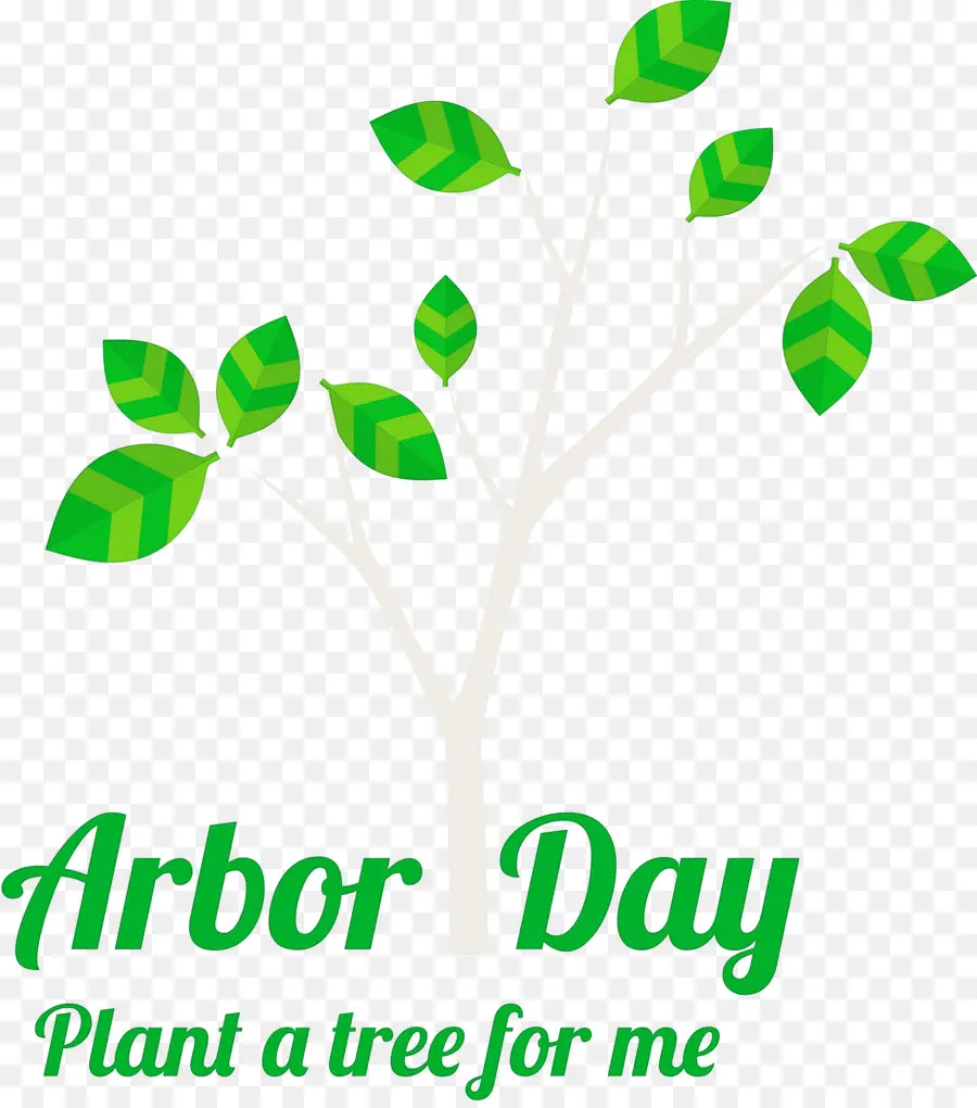 Dia Del Arbol，árbol PNG