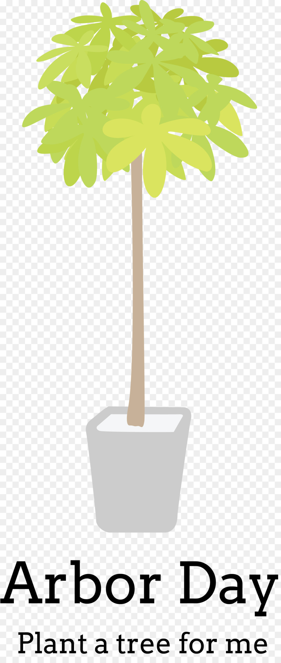 Árbol，Planta PNG