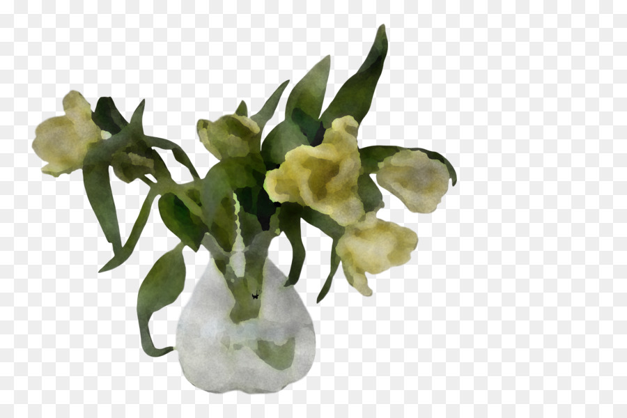 Flor，Planta PNG