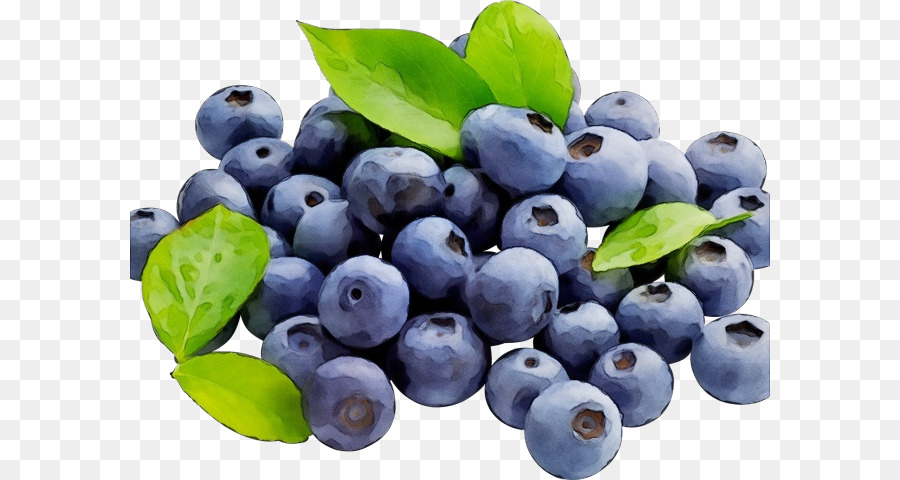 Arándano，Berry PNG