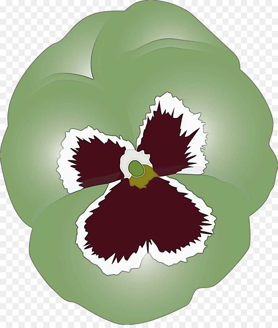 Flor Morada，Pétalos PNG