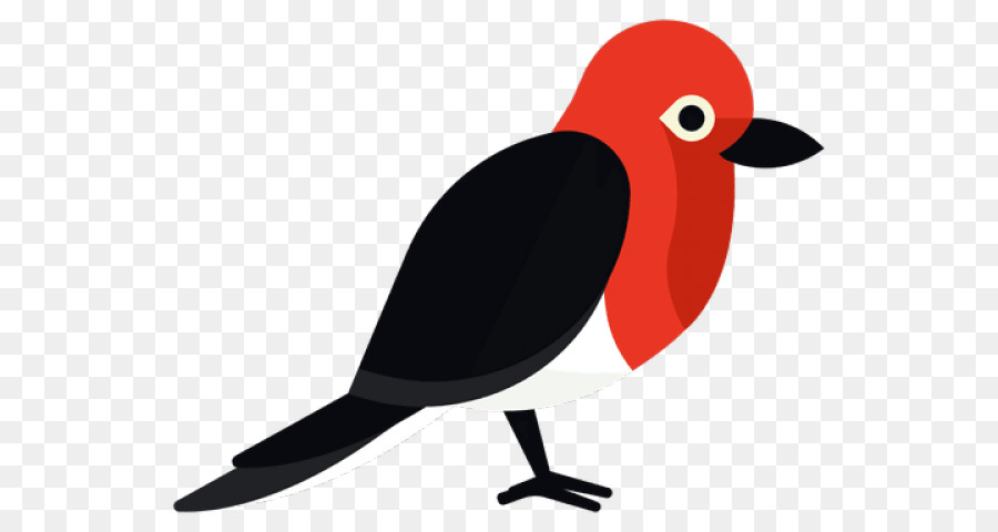 Pájaro，Pico PNG