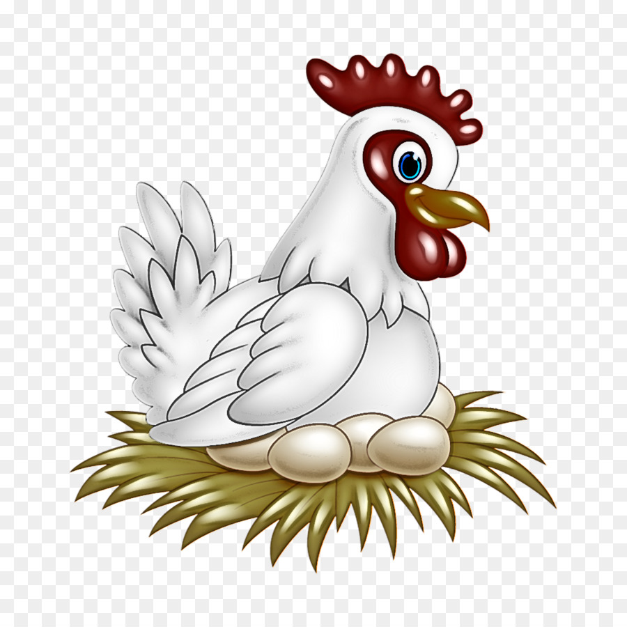 Pollo，Aves PNG