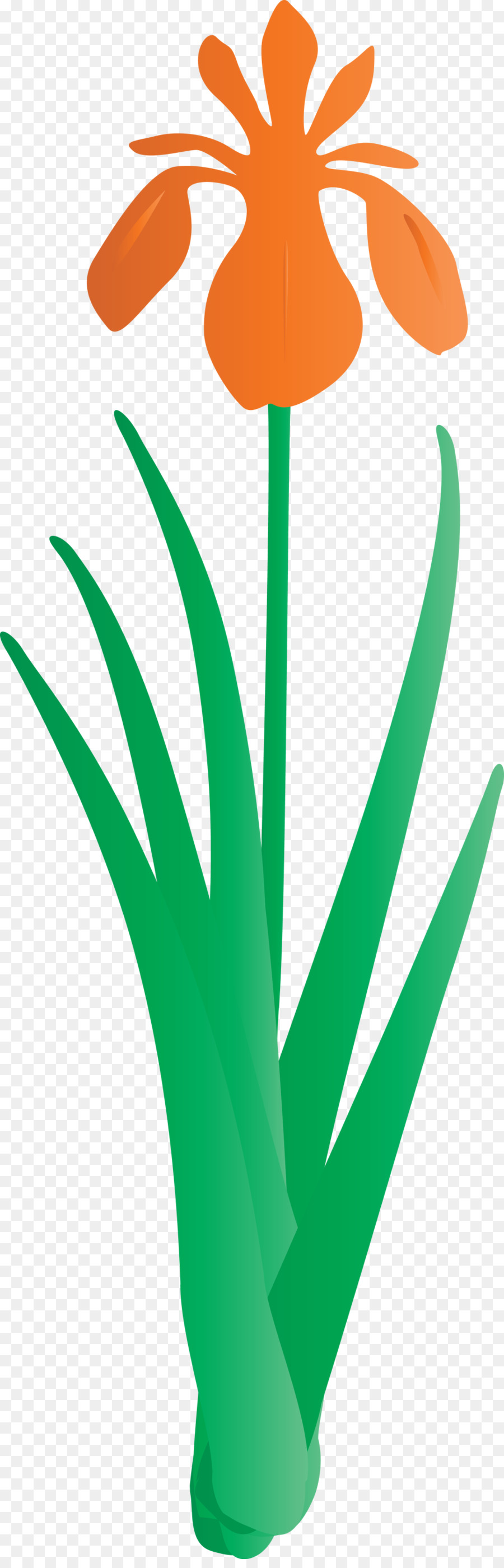 Verde，Hoja PNG