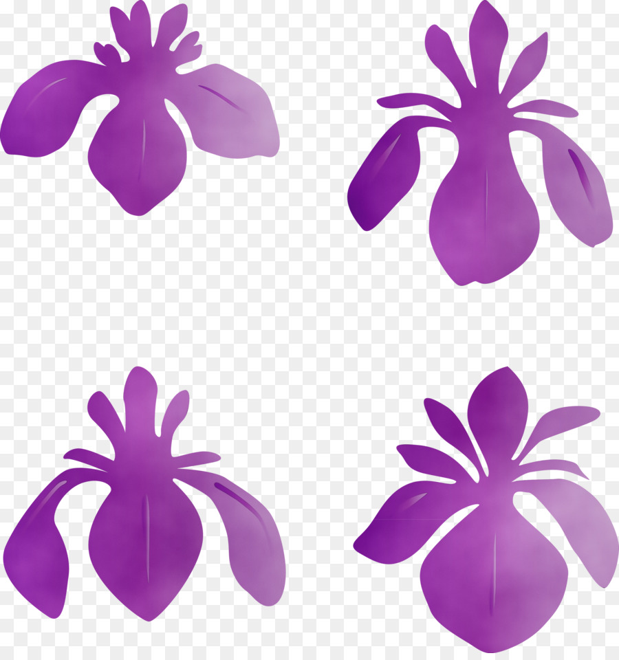 Morado，Pétalo PNG