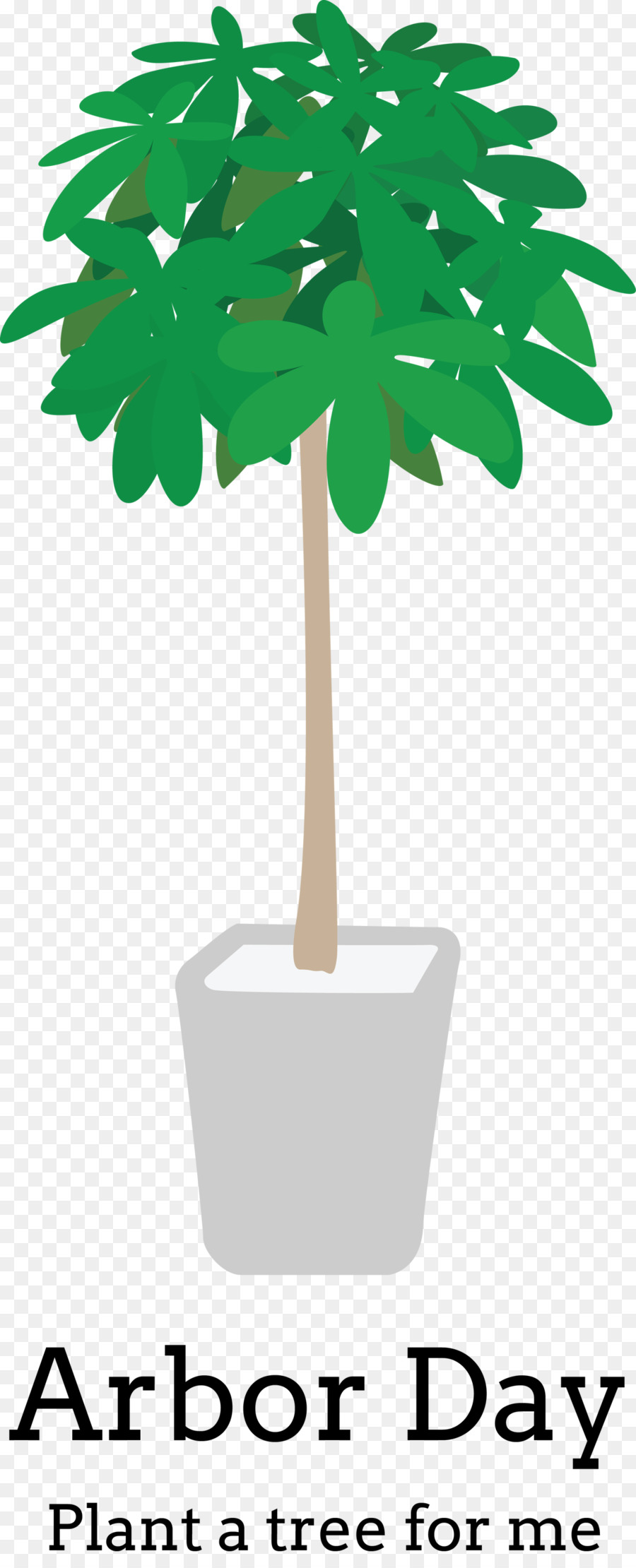 Árbol，Maceta PNG