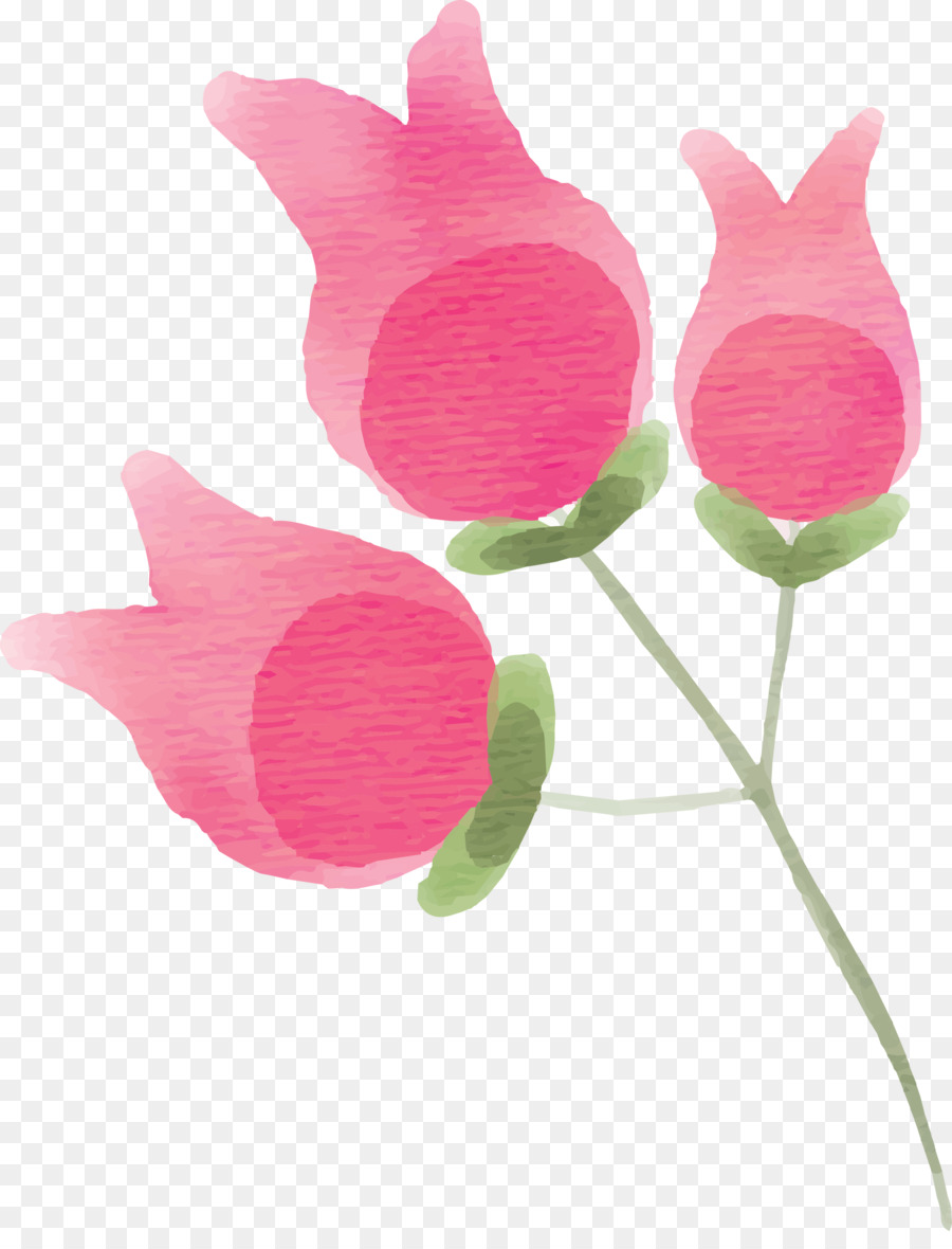 Flores Rosadas，Provenir PNG