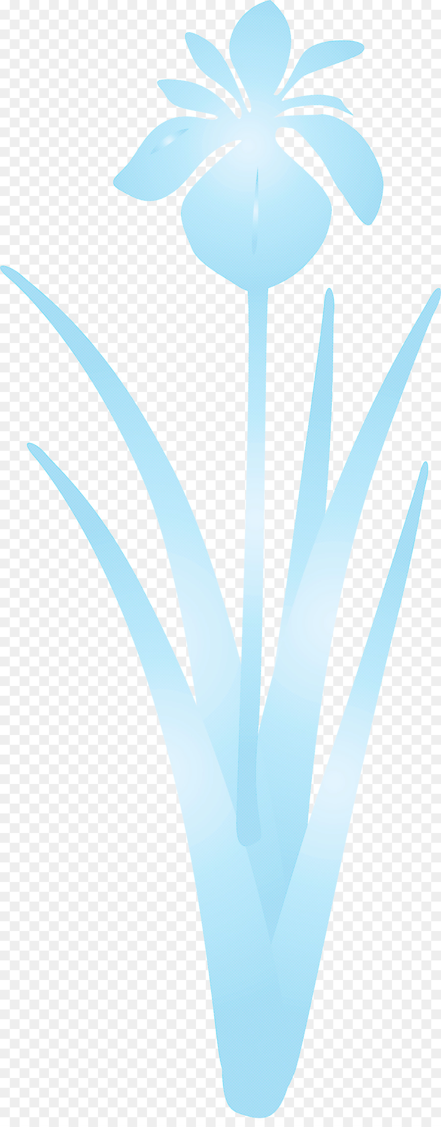 Aqua，Turquesa PNG