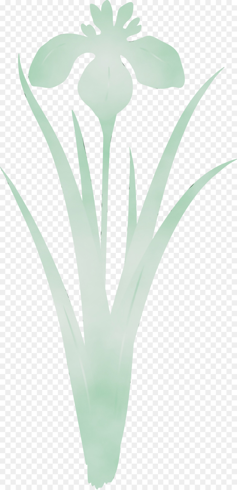 Verde，Turquesa PNG