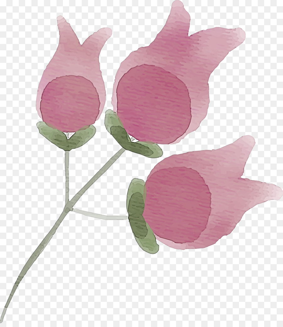 Flores Rosadas，Provenir PNG