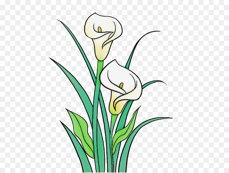 Planta，Flor PNG