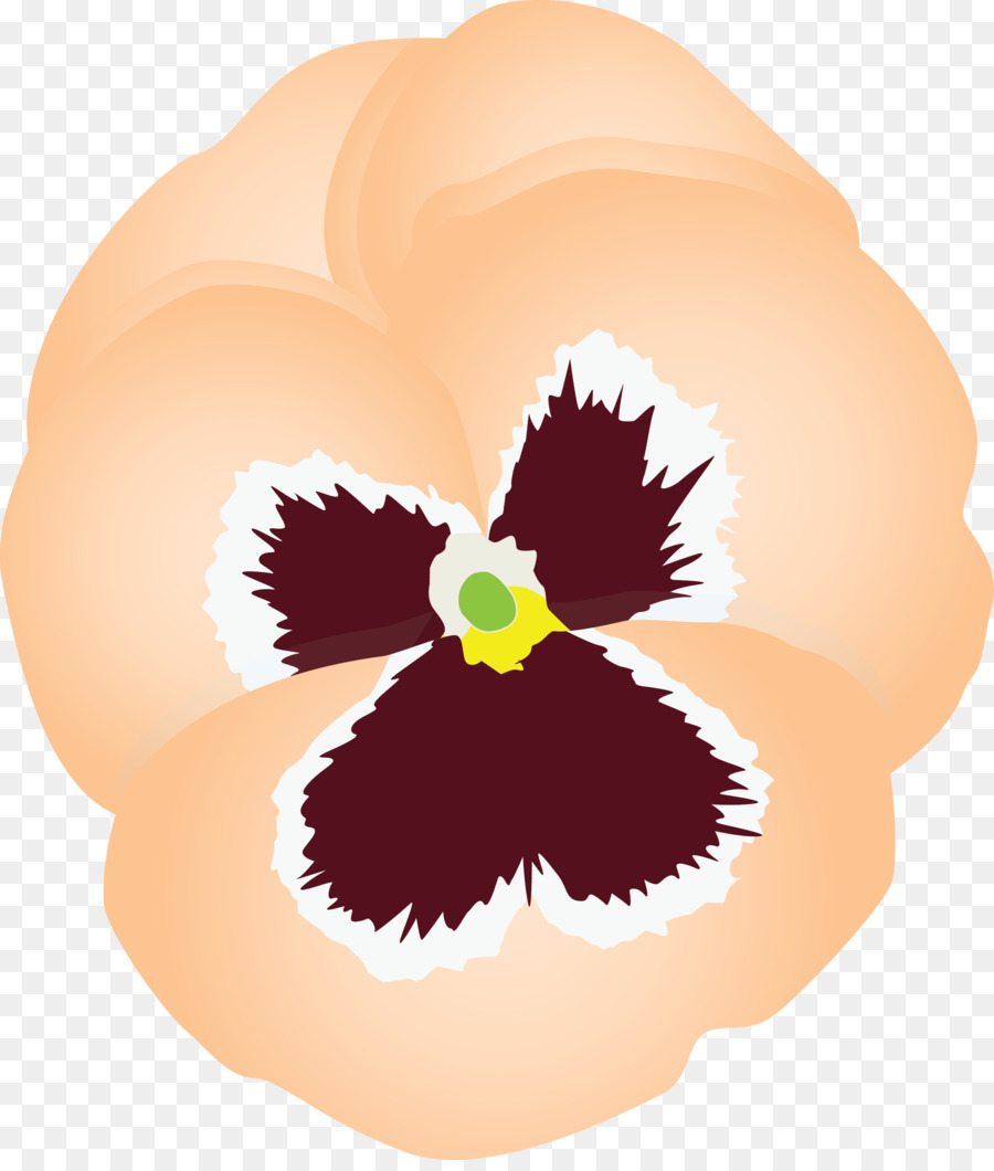 Pansy，Flor PNG