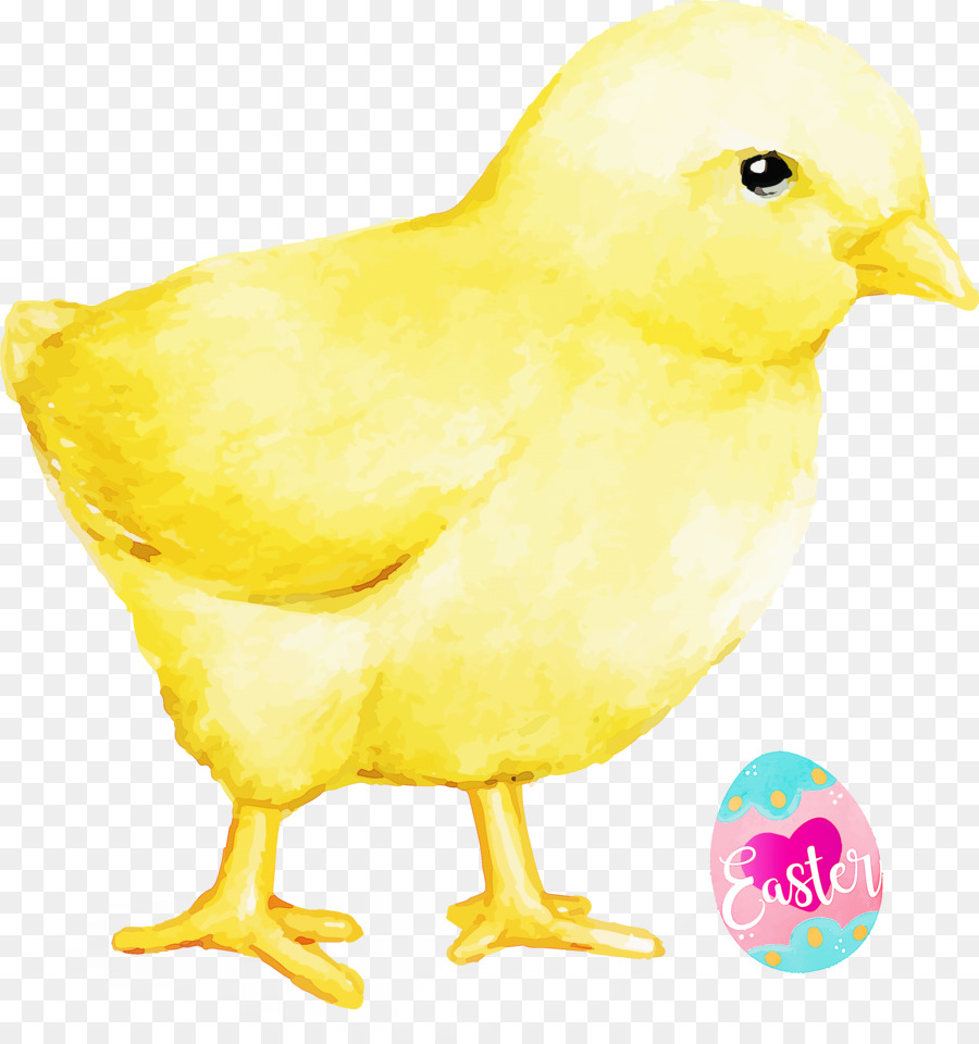 Pájaro，Amarillo PNG