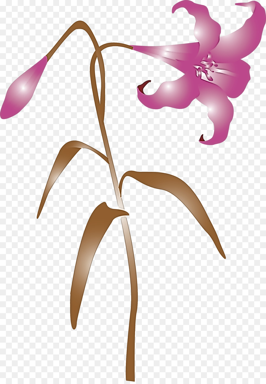 Flor，Planta PNG