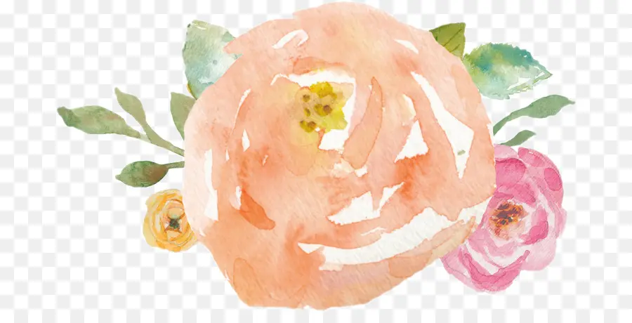 Rosa，Flor PNG