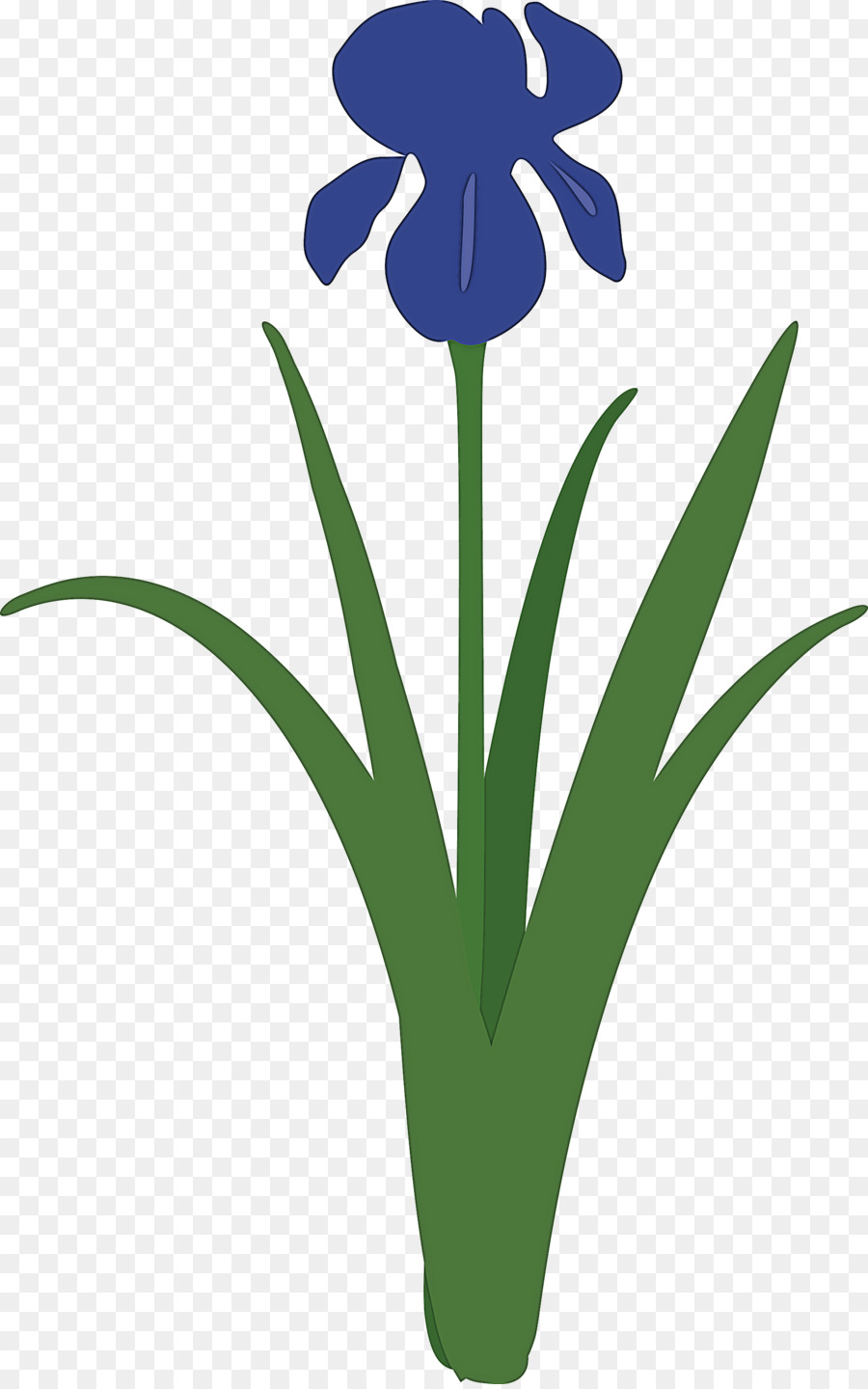 Flor De Iris，Púrpura PNG