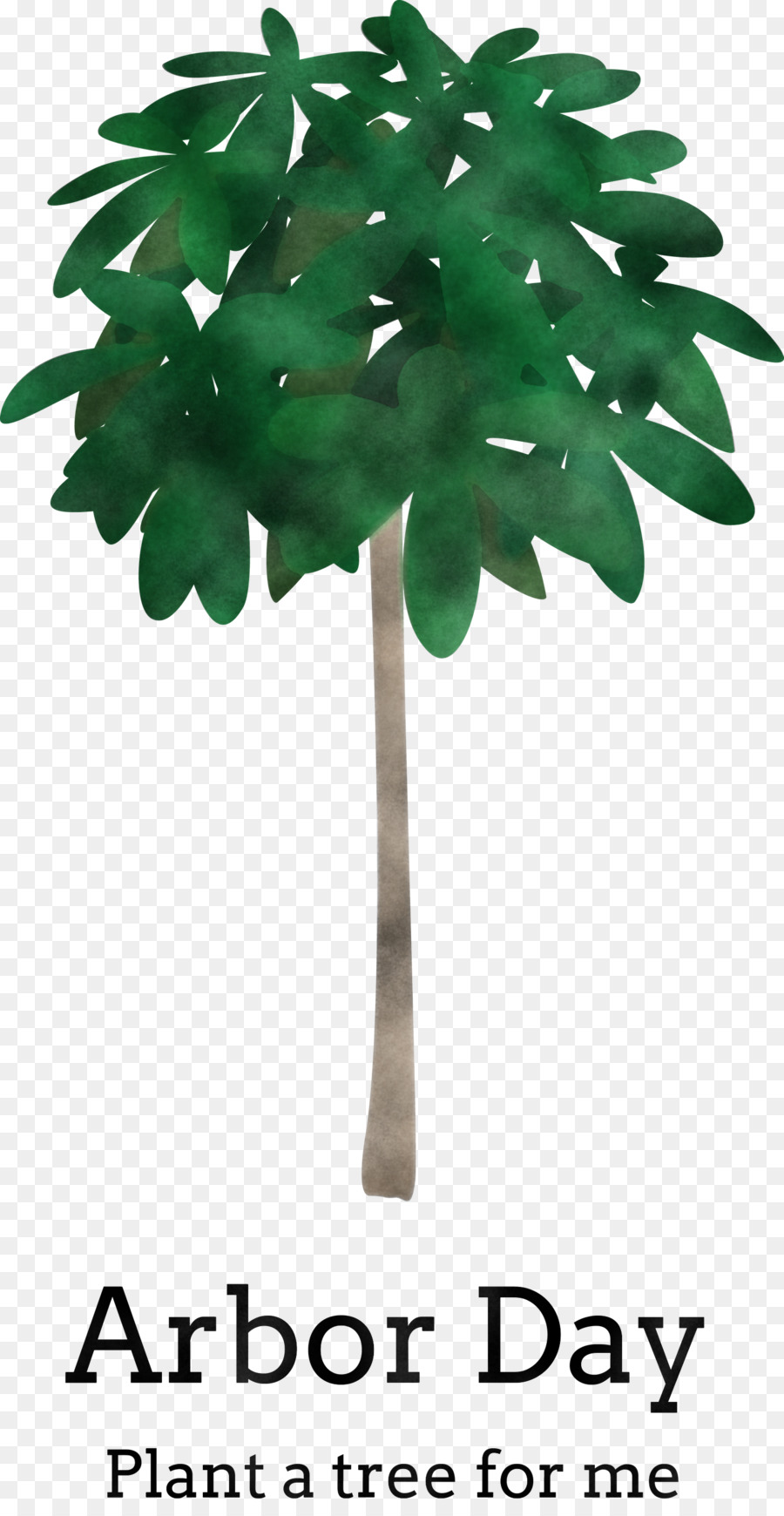 Árbol，Planta PNG