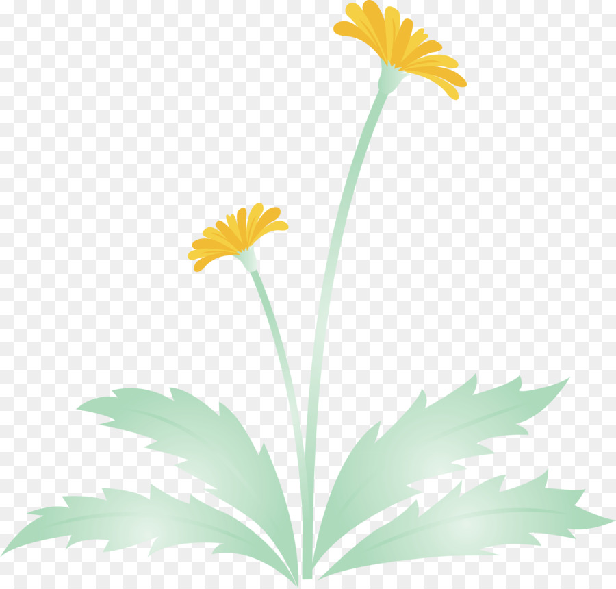 Flor，Amarillo PNG