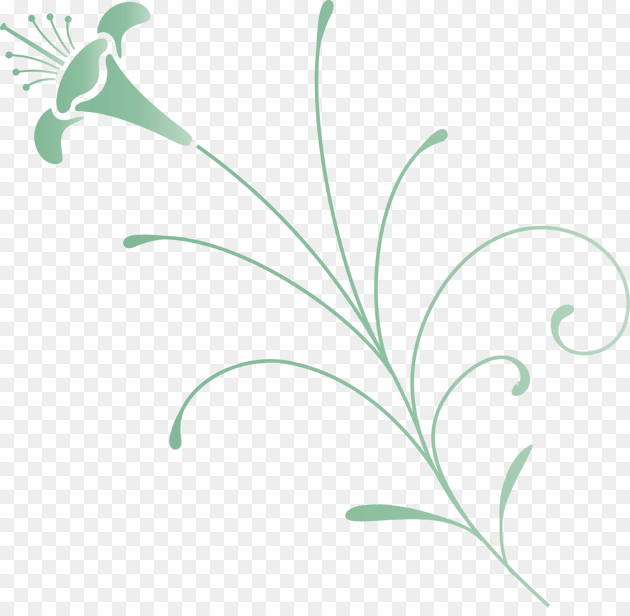 Diseño Floral，Hojas PNG