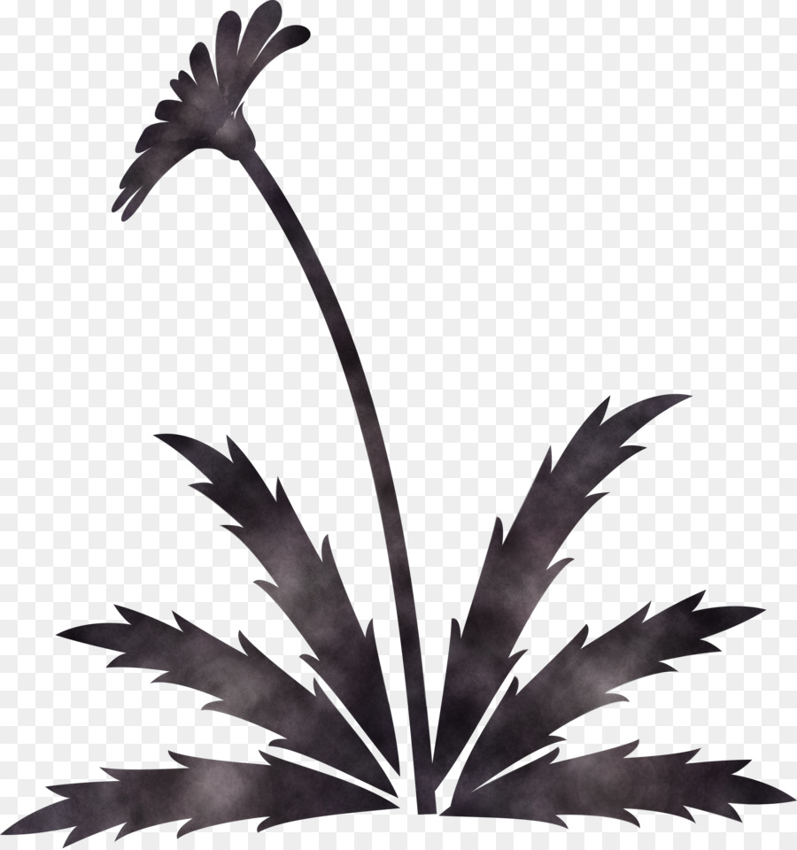 Hoja，Planta PNG