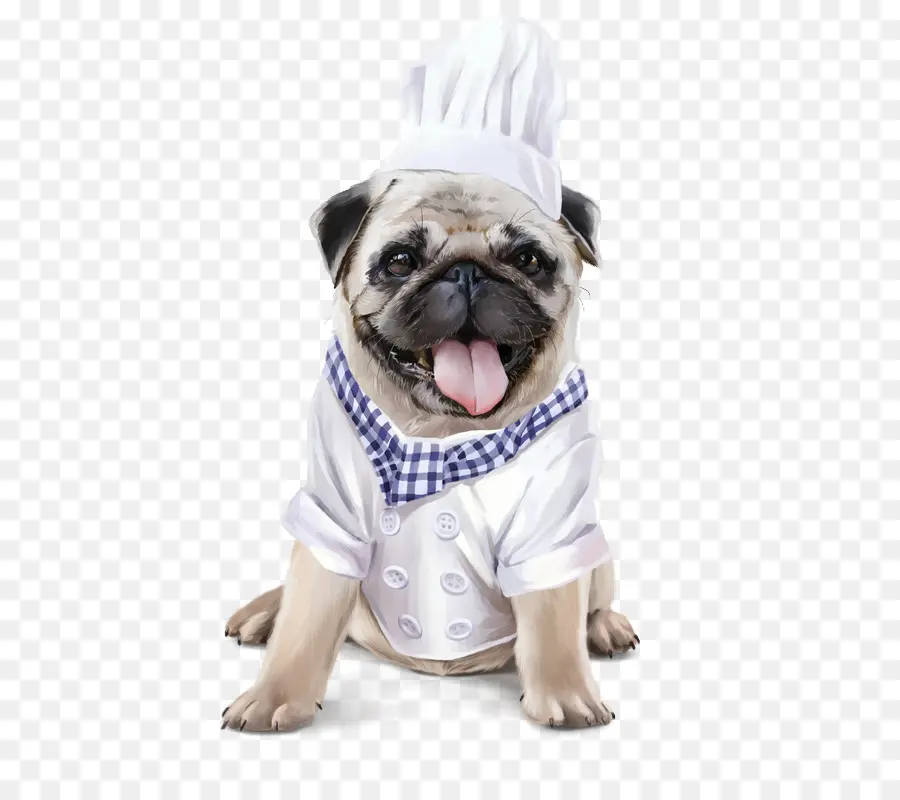 Pug，Perro PNG