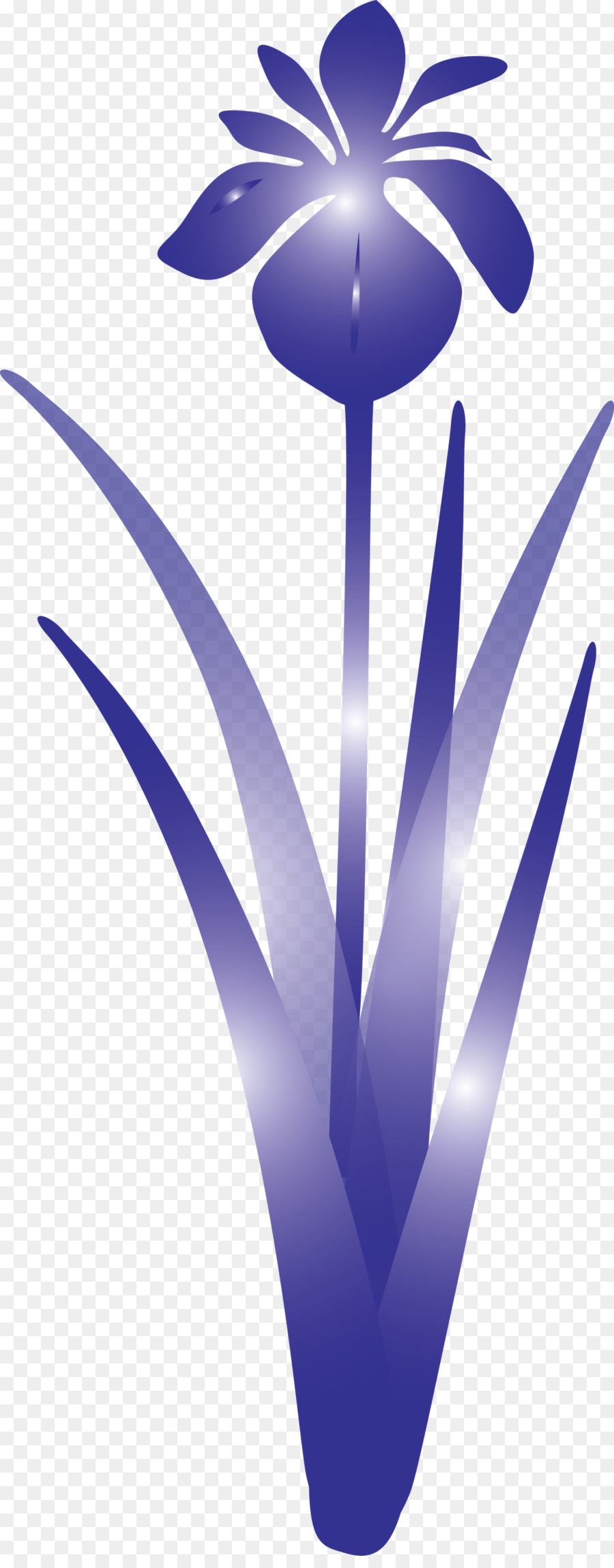 Azul，Morado PNG