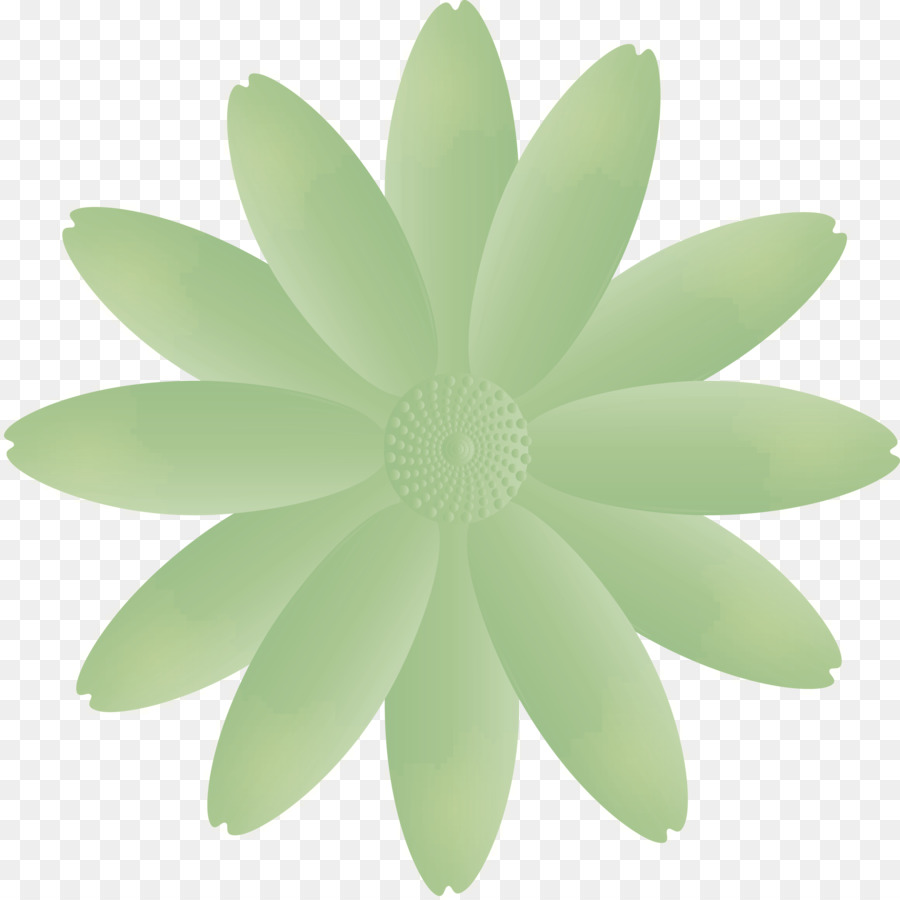Verde，Pétalo PNG