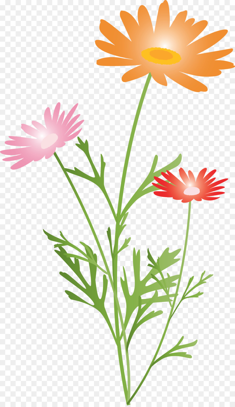 Flor，Planta PNG