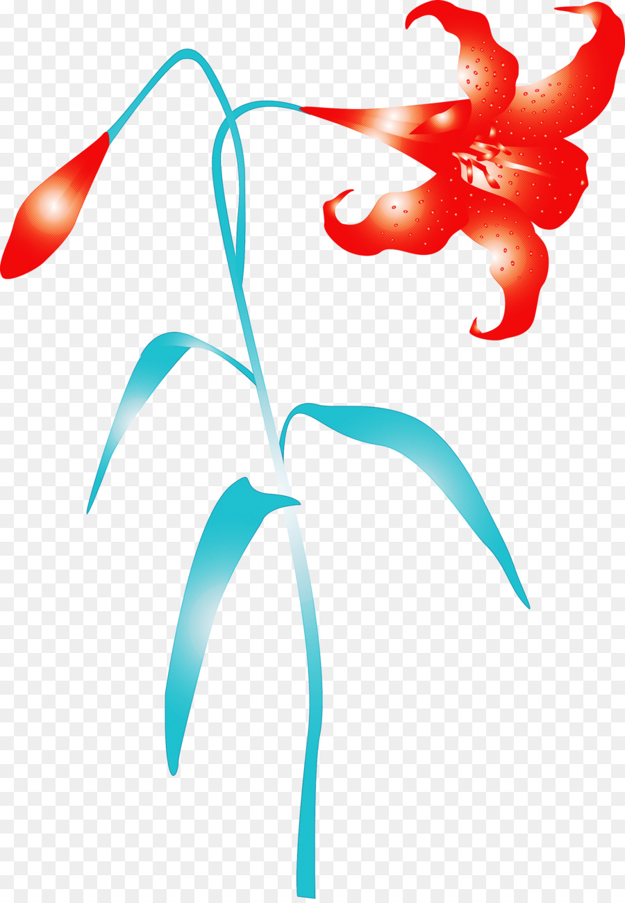 Flor Roja，Planta PNG