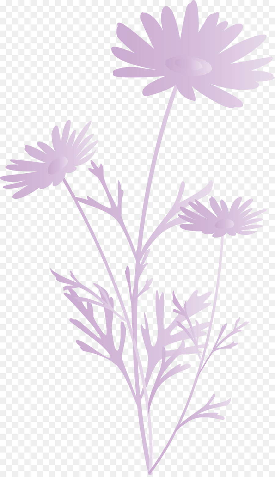 Flor，Planta PNG