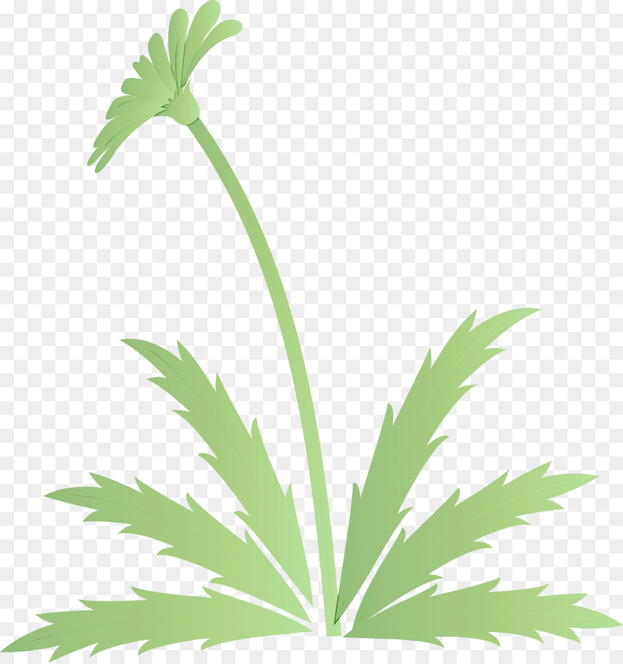 Hoja，Planta PNG