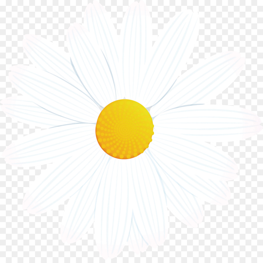 Amarillo，Blanco PNG