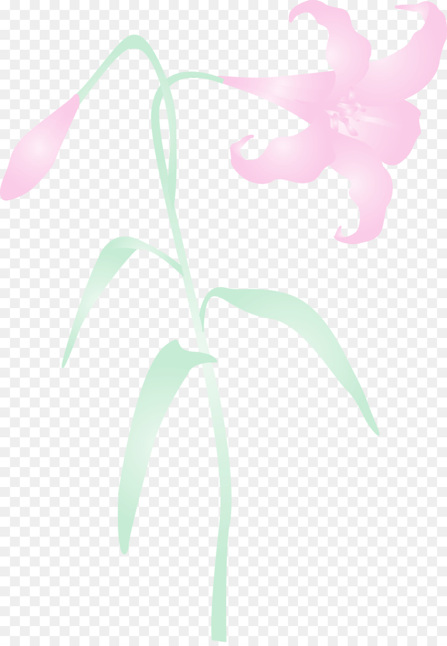 Silueta De Flor Rosa，Florecer PNG