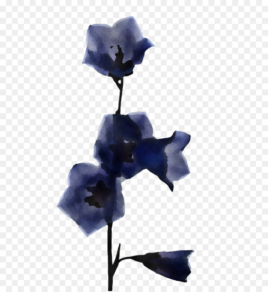 Flor，Azul PNG