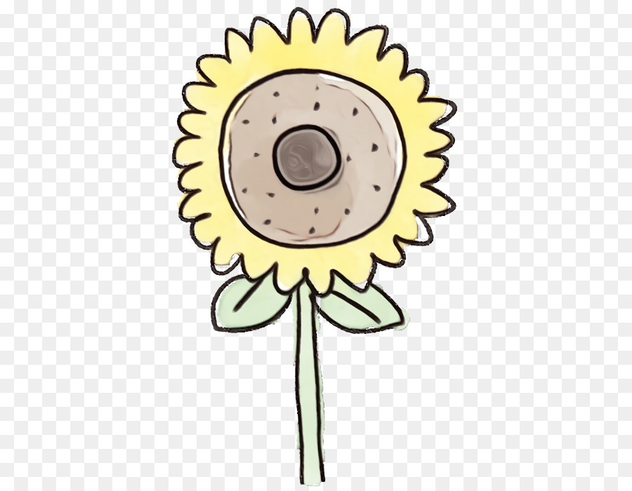 Girasol，Amarillo PNG